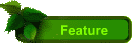 Feature